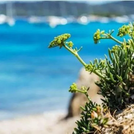 2 Pieces 5 Couchages Cavaliere - Acces Direct - Fr-1-251-138 * Le Lavandou