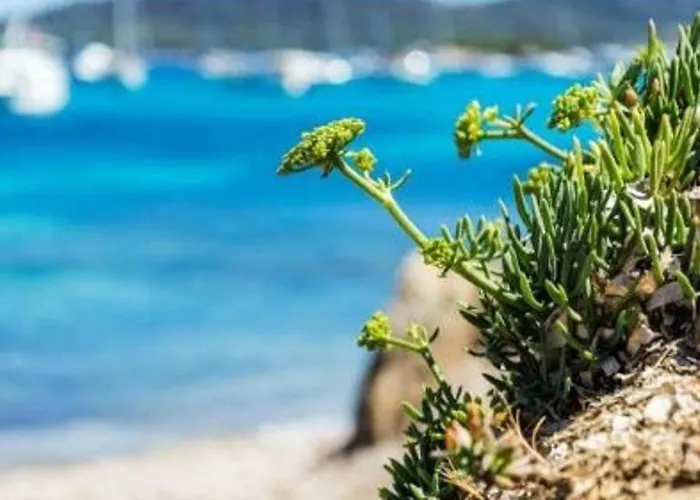 2 Pieces 5 Couchages Cavaliere - Acces Direct - Fr-1-251-138 * Le Lavandou